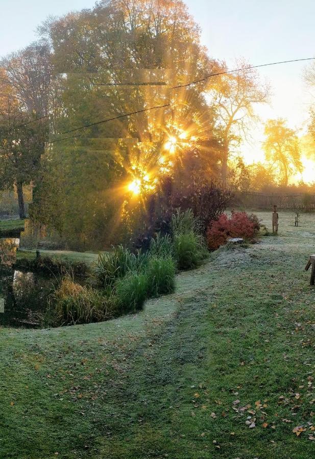 Apartmán Dvorečná Loučovice Esterno foto