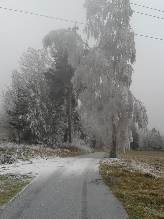 Apartmán Dvorečná Loučovice Esterno foto