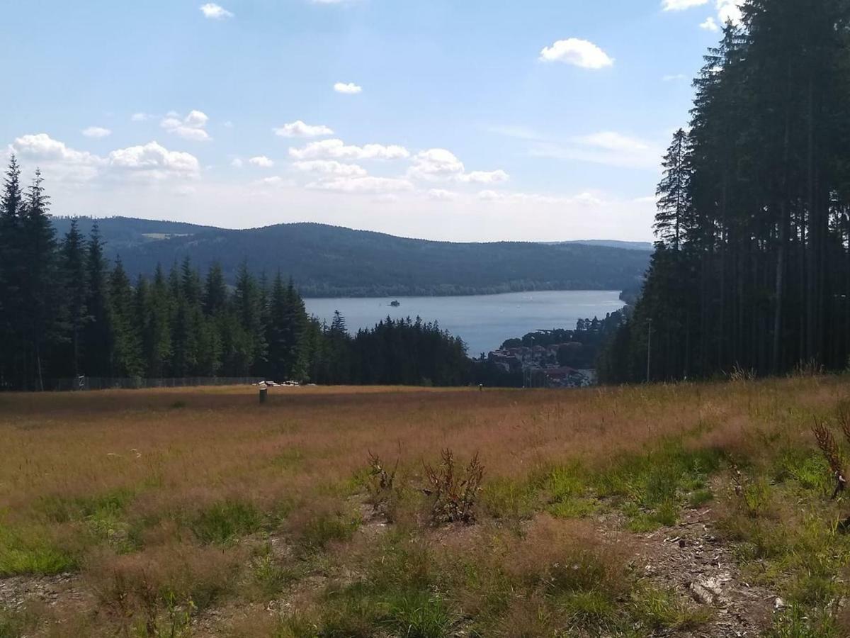 Apartmán Dvorečná Loučovice Esterno foto