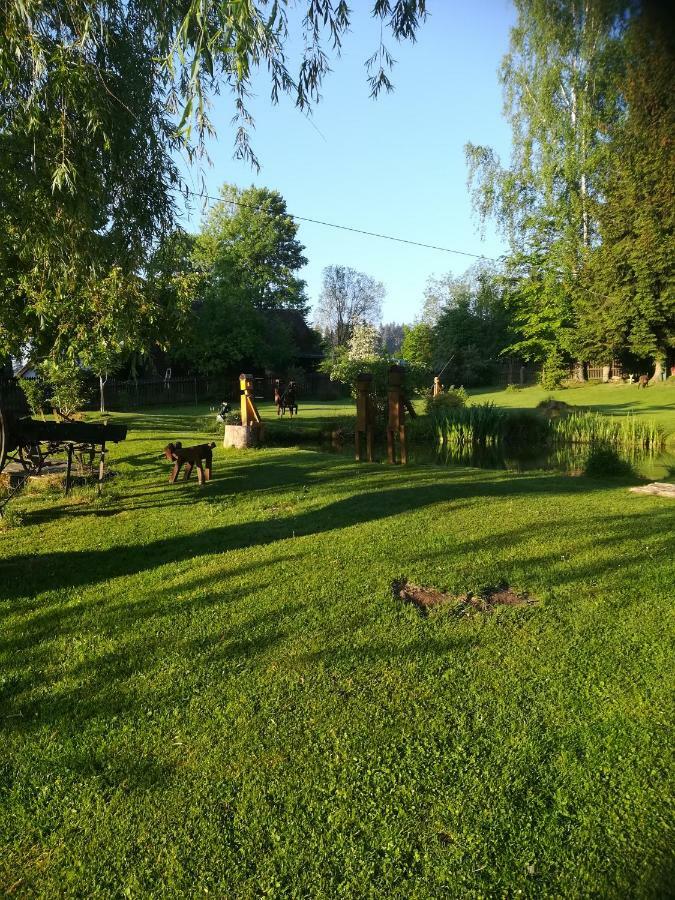 Apartmán Dvorečná Loučovice Esterno foto